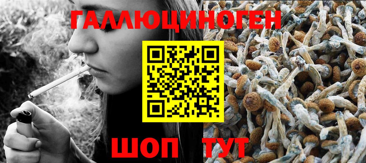 Галлюциногенные грибы Psilocybine cubensis  Галлюциногенные грибы Cubensis  Тайшет  Вход с VPN 