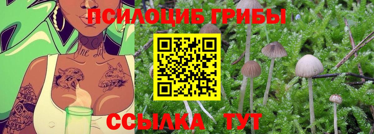 Псилоцибиновые грибы Magic Shrooms Тайшет